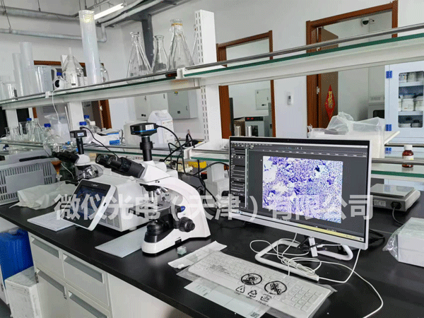 超分辨显微镜的样品采集技巧介绍