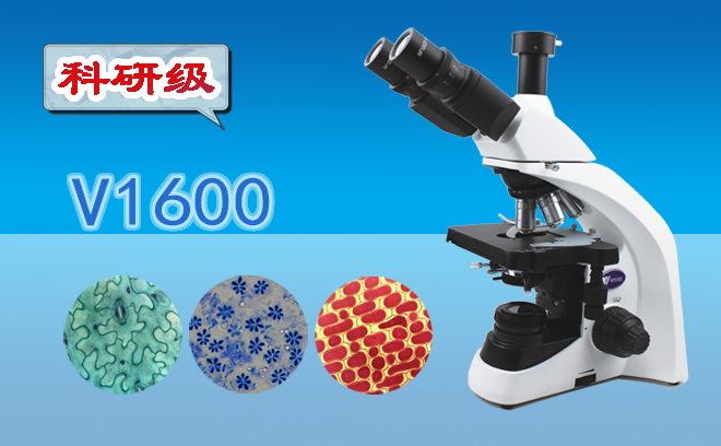 三目生物显微镜V1600