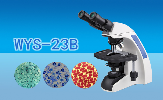 双目生物显微镜WYS-23B