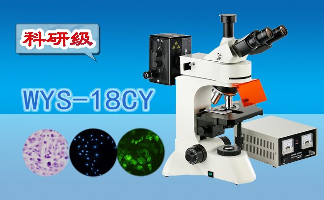 科研级三目荧光显微镜WYS-18CY