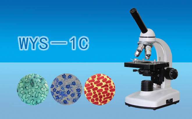 单目生物显微镜WYS-1C