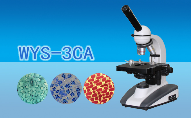 单目生物显微镜WYS-3CA