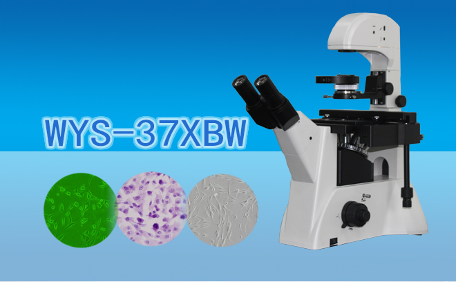 三目倒置生物显微镜WYS-37XBW