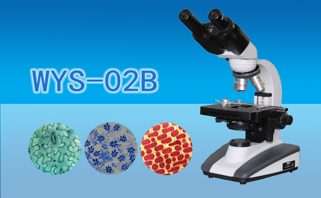双目生物显微镜WYS-02B