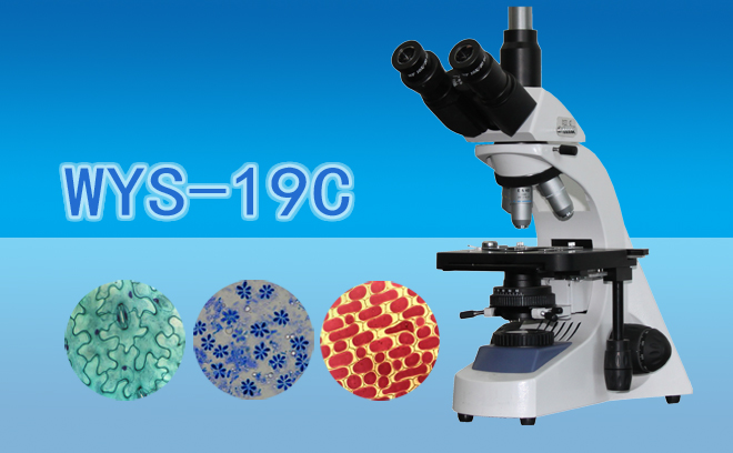 三目生物显微镜WYS-19C