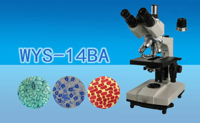 双目暗视野显微镜WYS-14BA