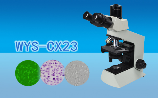 三目生物显微镜WYS-CX23