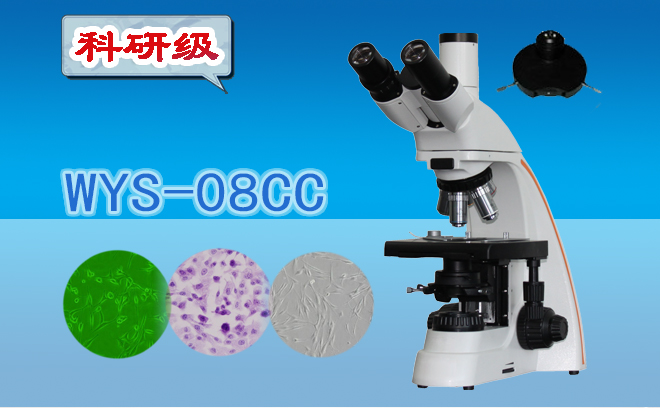 三目相衬显微镜WYS-08CC