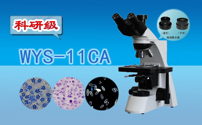 三目暗视野显微镜WYS-11CA