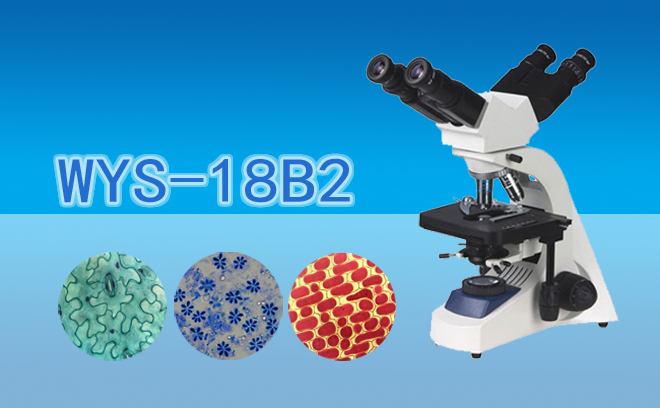 多人共视显微镜WYS-18B2