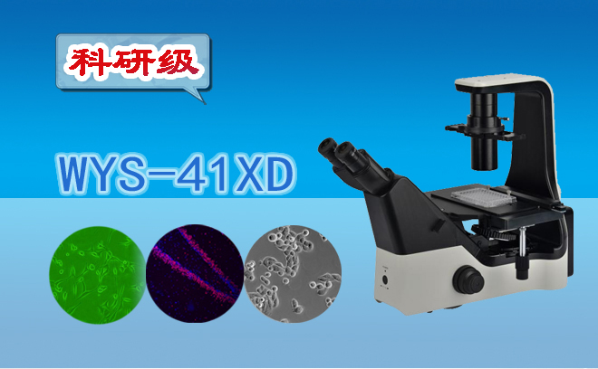 科研级三目倒置生物显微镜WYS-41XD
