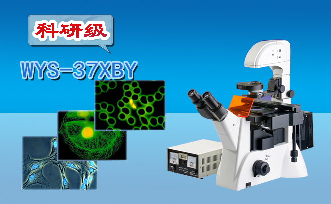 倒置荧光显微镜WYS-37XBY