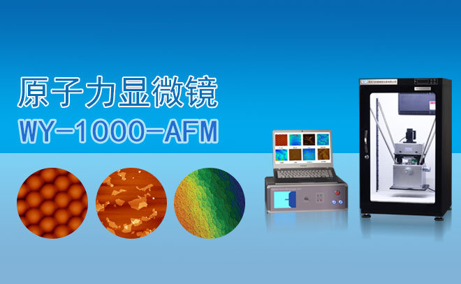 原子力显微镜 WY-1000-AFM