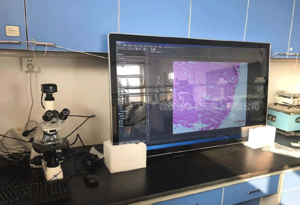 微仪光学三目生物显微镜走进天津农学院