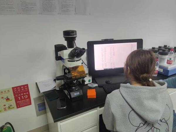 内蒙古医科大学实验中心购入微仪光电三目正置荧光显微镜搭配骨形态分析系统