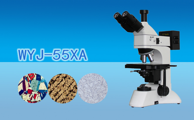 金相显微镜在材料科学相关领域的应用