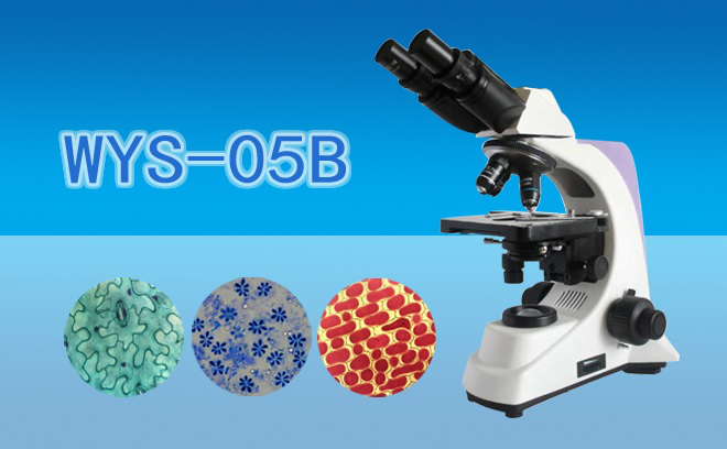 生物显微镜.png