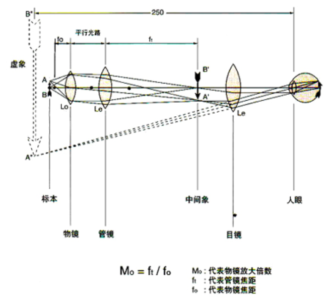 1663121740147455.png 1663121740147455.png