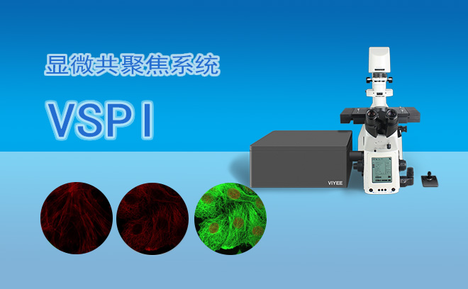 激光共聚焦显微镜VSPI