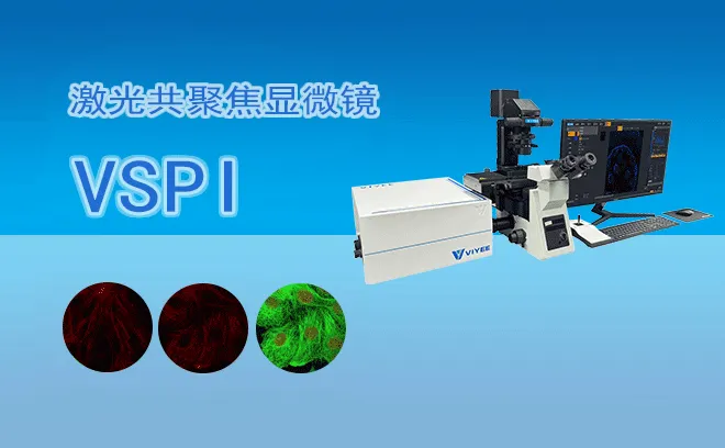 激光共聚焦显微镜VSPI