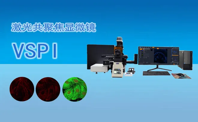 激光共聚焦显微镜VSPI