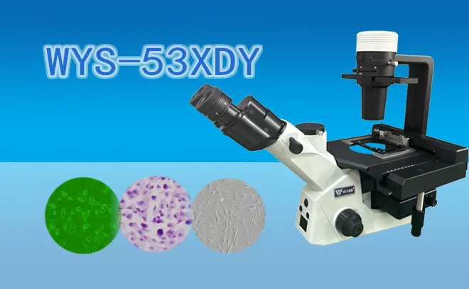 倒置荧光显微镜WYS-53XDY