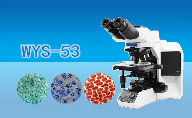 生物显微镜WYS-53