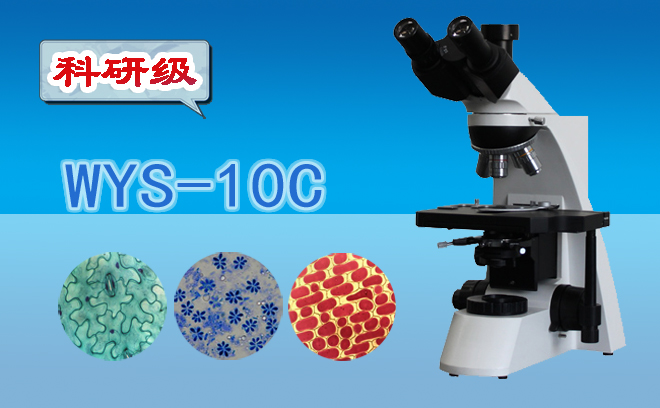 三目生物显微镜WYS-10C