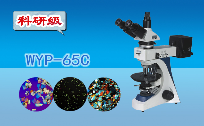 三目透反射偏光显微镜WYP-65C
