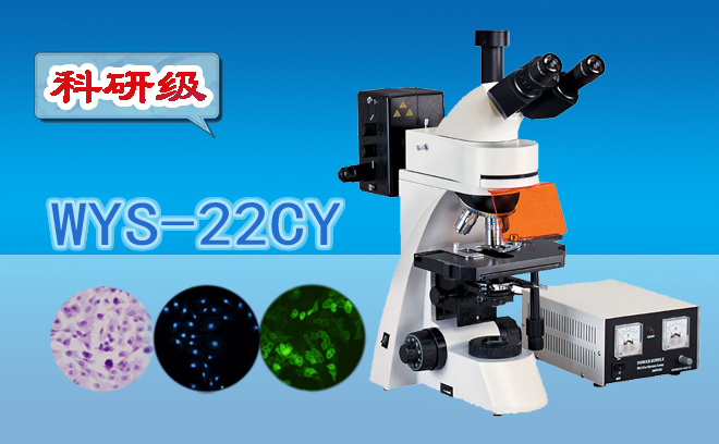 科研级三目荧光显微镜WYS-22CY