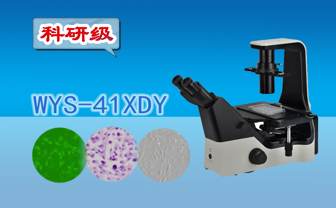科研级三目倒置荧光显微镜WYS-41XDY