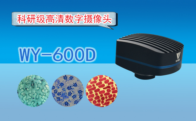 高清CCD数字摄像头WY-600D